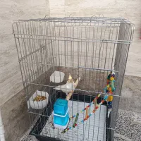 عروس هلندی دستی