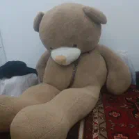 خرس دو متری