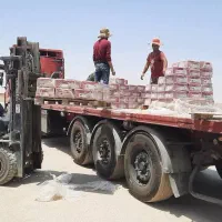 تولید و عرضه بیش از ۱۶۰ نوع آجر نسوز ، زرد و گلبهی|مصالح و تجهیزات ساختمان|اصفهان, قهجاورستان|دیوار