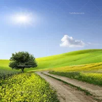 زمین-باغشهری