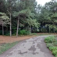 اجاره روزانه/هفتگی/ماهانه ویلا ۱۲۰ متری