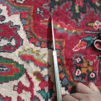 چاقو تیز تاشو|کلکسیون و سرگرمی|میانه, |دیوار