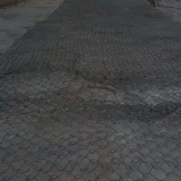 فنز قدیمی باغ
