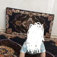 پشتی 1000 شانه|پشتی|قرچک, باقرآباد|دیوار