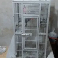 قفس طوطی کاسکو|لوازم جانبی حیوانات|آبادان, |دیوار