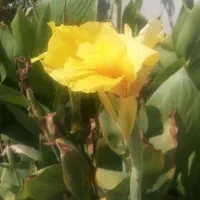 راه کار در مورد گذشته