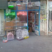 خرید فروش پرندگان زینتی و فروش انواع دان ها