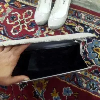 کیف و کفش مجلسی ست|کیف، کفش، کمربند|رباط‌کریم, الارد|دیوار