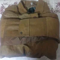 کاپشن چرم مردانه|لباس|قم, باسکول|دیوار