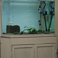 آکواریوم شیشه خم شرکتی دلسا