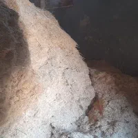 کاه گندم دیم فروشی کیلو۱۴