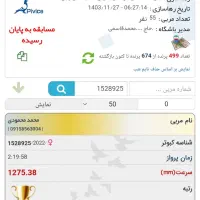 سلام یک ماده زابلی گرفته شوده از پارسال و ثب هست|پرنده|نهبندان, |دیوار