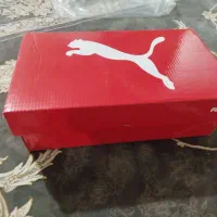 کفش|کیف، کفش، کمربند|دورود, |دیوار