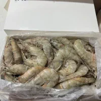 میگو باسر پرورشی|عمده‌فروشی|تهران, حر|دیوار