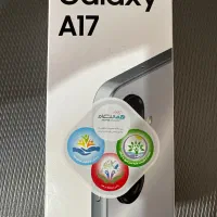 A17