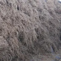 فروش یونجه