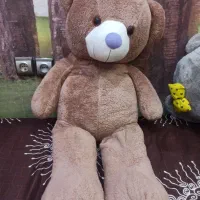 دو عدد عروسک خرس