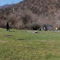 زمین فروشی شموشک سفلی