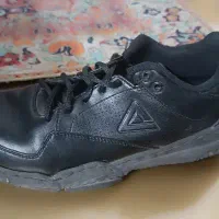 یک لنگه کفش پیک گم شده