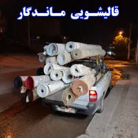 قالیشویی ماندگار Vip  ( رستمی )