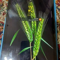 تبلت سامسونگ گلکسی A9 Plus سیم کارت خور