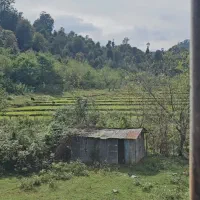 زمین درتالش کوهپایه ای جنگل پول لازم اسالم طولارود|فروش زمین و ملک کلنگی|تالش, طولارود|دیوار