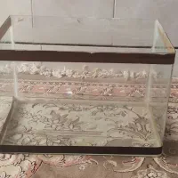 اکواریوم شیشه ایی ماهی|ماهی|کاشان, کارگر|دیوار