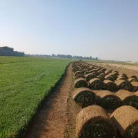 فضاسازی