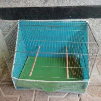 لوازم پرنده|لوازم جانبی حیوانات|ابرکوه, |دیوار