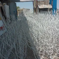 استخدام و  فروش حفاظ شاخ گوزنی تولید قیمت کارخانه|استخدام صنعتی، فنی، مهندسی|ایرانشهر, |دیوار