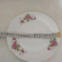 گلسرخی|ظروف سرو و پذیرایی|قم, قلعه کامکار|دیوار