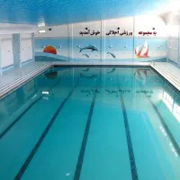 چند نفر همکار نیروی خدماتی آقا