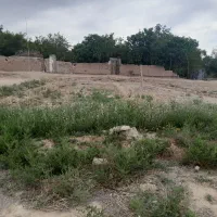 زمین-مزروعی-نقلی-قیمت-مناسب