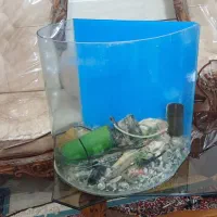 شیشه آکواریوم