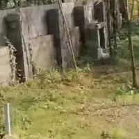 فروش ۸۵۰ متر زمین با پروانه ساخت روستای سلش سیاهکل|فروش زمین و ملک کلنگی|سیاهکل, |دیوار