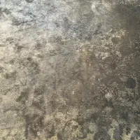 فرش ۹ متری|فرش|تهران, امامت|دیوار