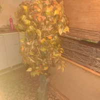 درختچه مصنوعی