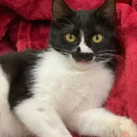 دختر ۶ ماهه