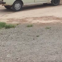 وانت بارتلفنی