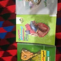 گام به گام ها  دهم تجربه