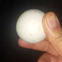 سنگ آسیاب|کلکسیون اشیاء عتیقه|سنندج, |دیوار