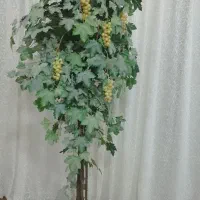 درخت انگور مصنوعی