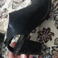 کفش چرم سایر ۳۸|کیف، کفش، کمربند|کوهدشت, |دیوار