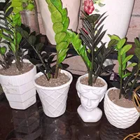 گل و گیاه