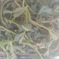 خرفه
