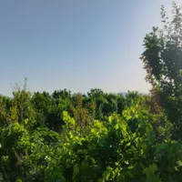 باغ و زمین کشاورزی مناسب انواع فعالیت های کشاورزی|فروش دفتر صنعتی، کشاورزی، تجاری|تهران, فردوسی|دیوار