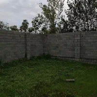 زمین داخل بافت روستای گل افرا بندر گز|فروش زمین و ملک کلنگی|بندر گز, |دیوار