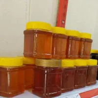 عسل گون طبیعی