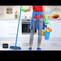 نظافت منزل