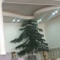 درخت کریسمس